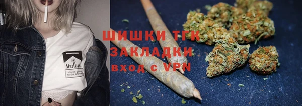 ПСИЛОЦИБИНОВЫЕ ГРИБЫ Белокуриха
