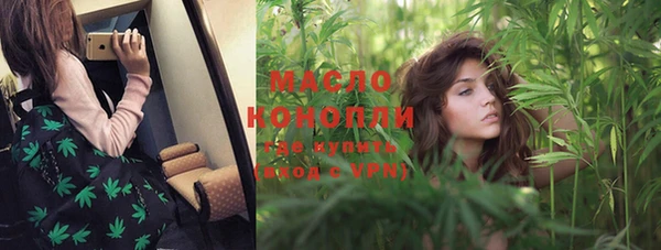 индика Ступино