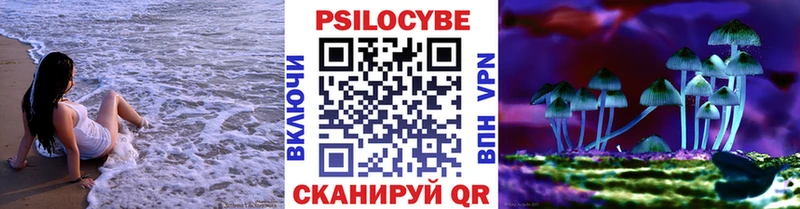 купить наркоту  Вяземский  ссылка на мегу вход  Галлюциногенные грибы мухоморы 